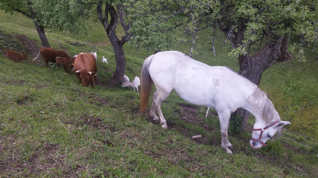 Vaznik Farm House Apartments Bled Exterior foto